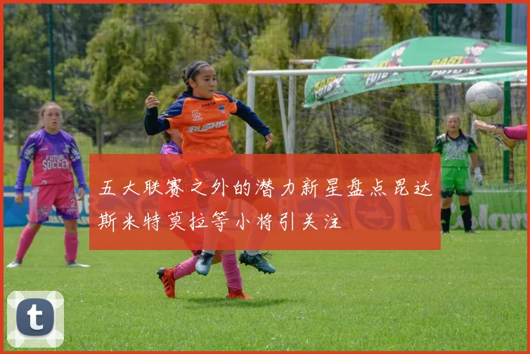 五大联赛之外的潜力新星盘点昆达斯米特莫拉等小将引关注