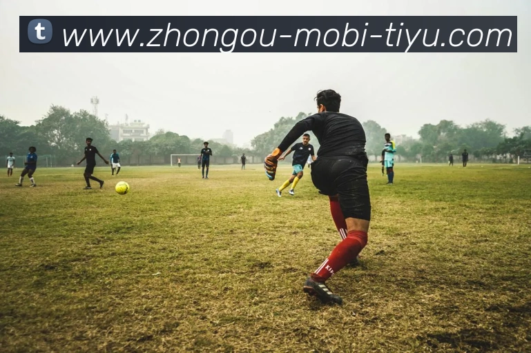 App Interface Preview