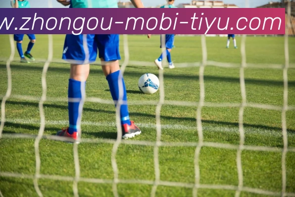 中欧体育APP 封面图